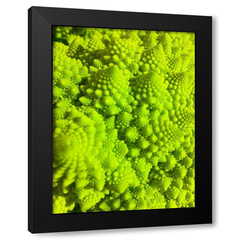 Natural Fractals IV Black Modern Wood Framed Art Print by Grayscale