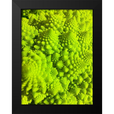 Natural Fractals IV Black Modern Wood Framed Art Print by Grayscale