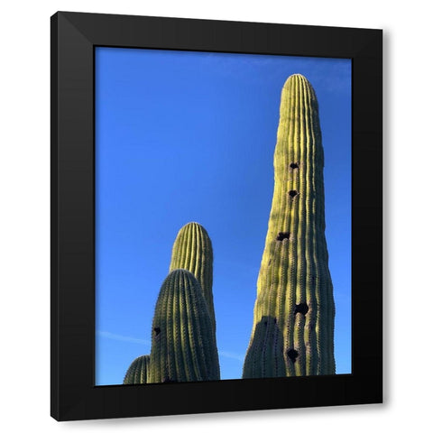 Desert Canopy II Black Modern Wood Framed Art Print by Grayscale