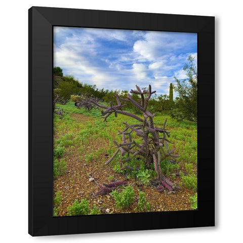 Desert Color I Black Modern Wood Framed Art Print with Double Matting by Grayscale