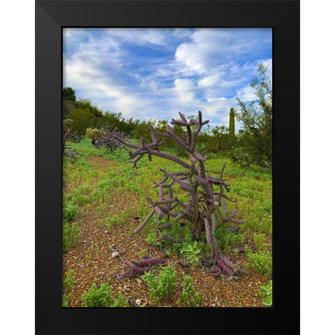 Desert Color I Black Modern Wood Framed Art Print by Grayscale