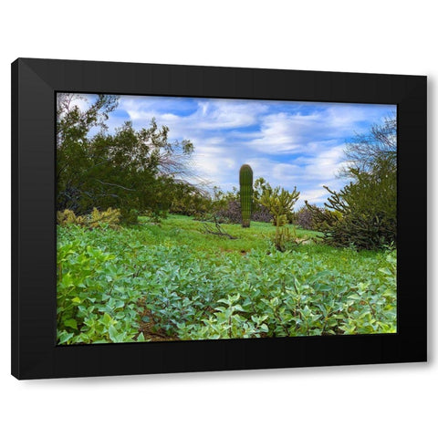 Desert Color II Black Modern Wood Framed Art Print by Grayscale