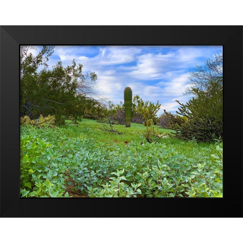 Desert Color II Black Modern Wood Framed Art Print by Grayscale