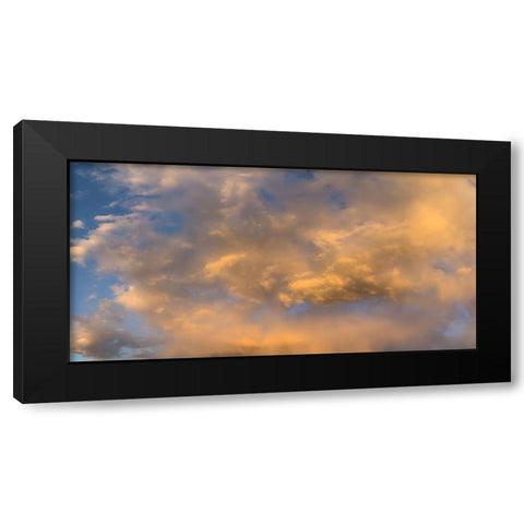 Cloudy Sky II Black Modern Wood Framed Art Print with Double Matting by Grayscale
