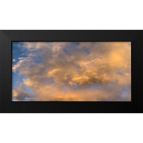 Cloudy Sky II Black Modern Wood Framed Art Print by Grayscale