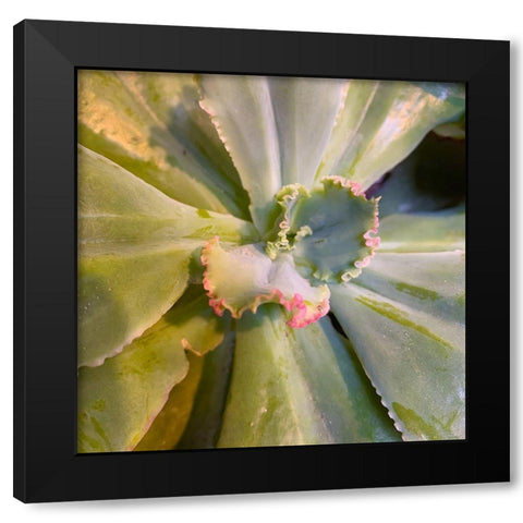 Ribbons IV Black Modern Wood Framed Art Print with Double Matting by Grayscale