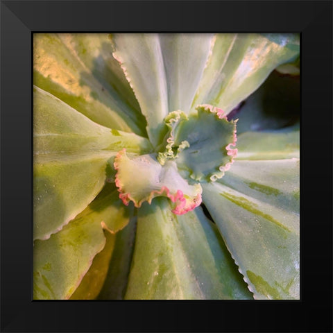 Ribbons IV Black Modern Wood Framed Art Print by Grayscale