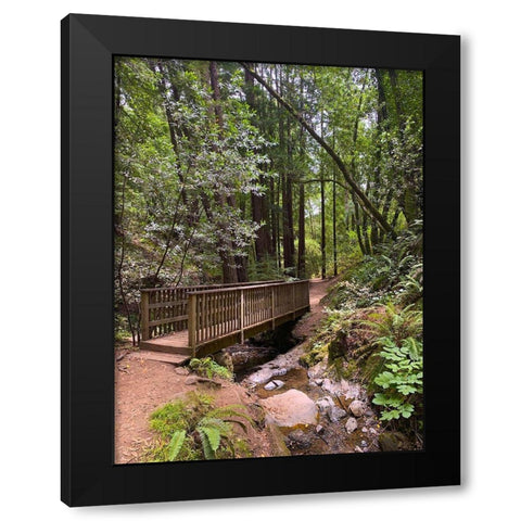 Forest Bridge III Black Modern Wood Framed Art Print by Grayscale