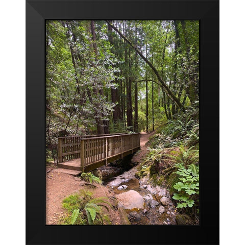 Forest Bridge III Black Modern Wood Framed Art Print by Grayscale