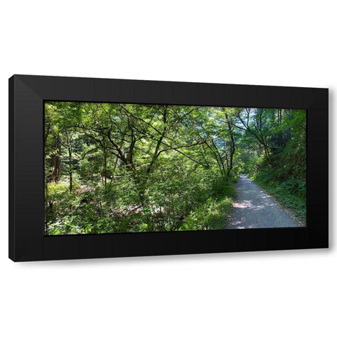 Forest Canopy II Black Modern Wood Framed Art Print by Grayscale