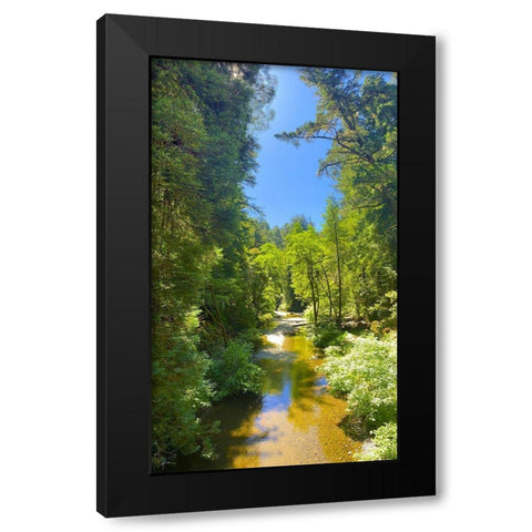 Salmon Stream I Black Modern Wood Framed Art Print by Grayscale