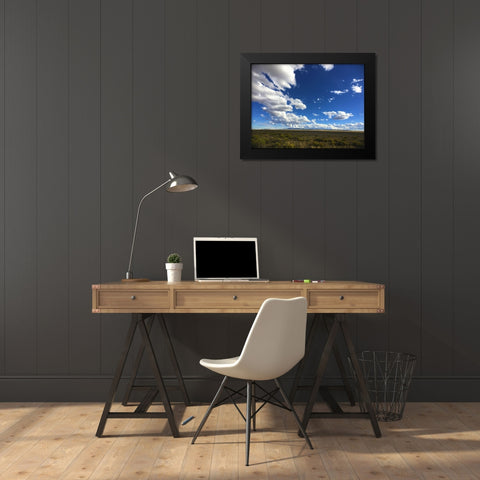 Big Sky I Black Modern Wood Framed Art Print by Grayscale