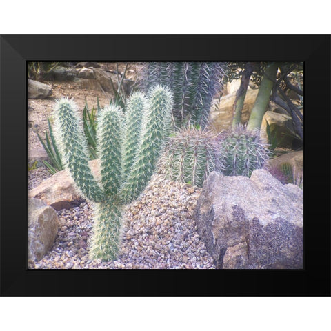 Cactus Arrangement I Black Modern Wood Framed Art Print by Grayscale