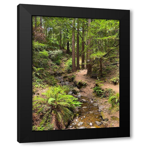 Creekside I Black Modern Wood Framed Art Print with Double Matting by Grayscale