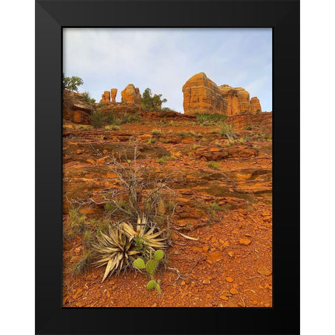 Sedona II Black Modern Wood Framed Art Print by Grayscale