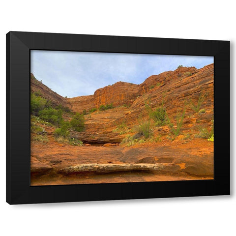 Sedona V Black Modern Wood Framed Art Print by Grayscale