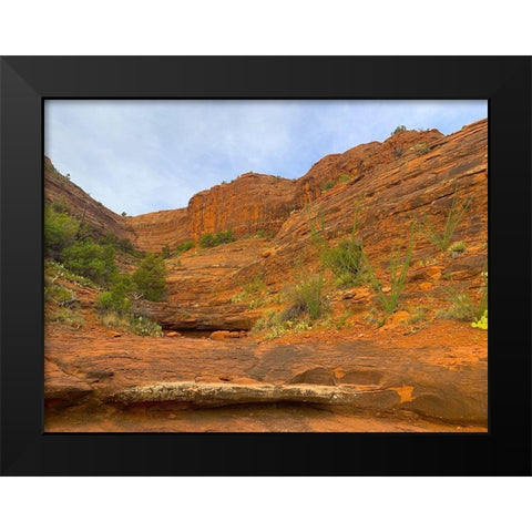 Sedona V Black Modern Wood Framed Art Print by Grayscale