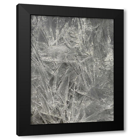 Ice I Black Modern Wood Framed Art Print with Double Matting by Grayscale