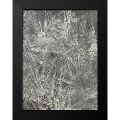 Ice I Black Modern Wood Framed Art Print by Grayscale
