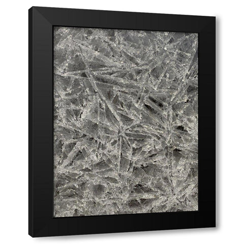 Ice II Black Modern Wood Framed Art Print with Double Matting by Grayscale