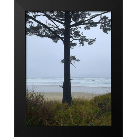Costal Tree View I Black Modern Wood Framed Art Print by Grayscale