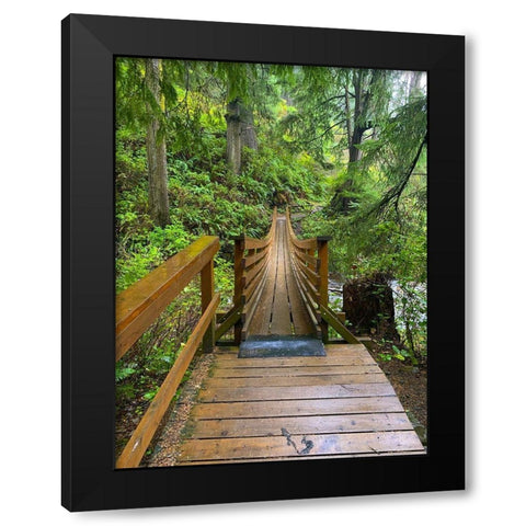 Forest Bridge IV Black Modern Wood Framed Art Print with Double Matting by Grayscale