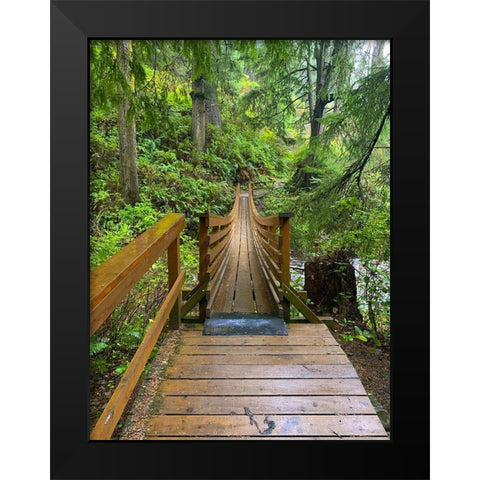 Forest Bridge IV Black Modern Wood Framed Art Print by Grayscale