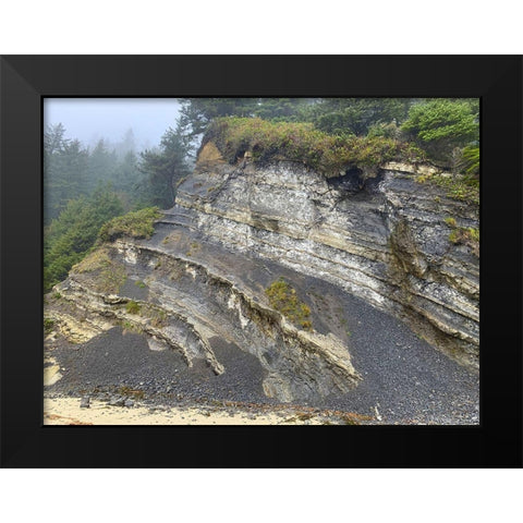 Eroded Coast II Black Modern Wood Framed Art Print by Grayscale