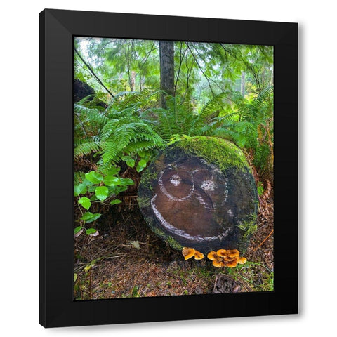 Forest Happy Face I Black Modern Wood Framed Art Print by Grayscale