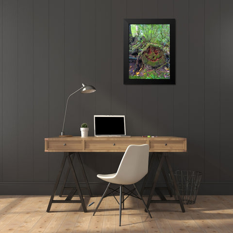 Forest Happy Face II Black Modern Wood Framed Art Print by Grayscale