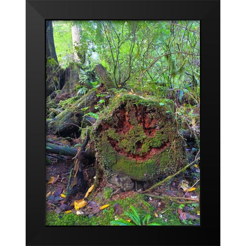 Forest Happy Face II Black Modern Wood Framed Art Print by Grayscale