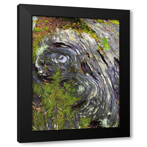 The Scream Black Modern Wood Framed Art Print by Grayscale