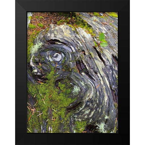 The Scream Black Modern Wood Framed Art Print by Grayscale