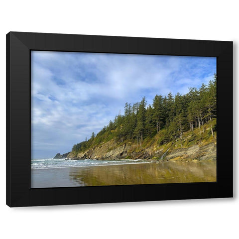 Eroded Coast IV Black Modern Wood Framed Art Print by Grayscale