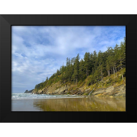 Eroded Coast IV Black Modern Wood Framed Art Print by Grayscale