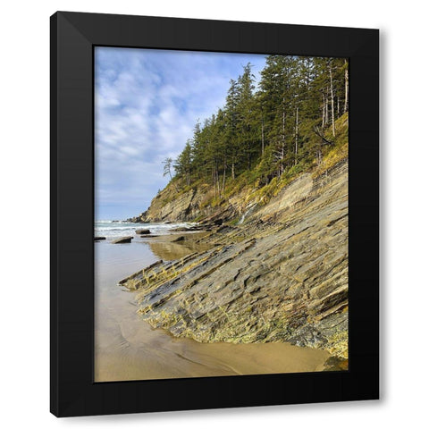 Eroded Coast V Black Modern Wood Framed Art Print by Grayscale