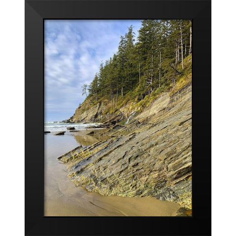 Eroded Coast V Black Modern Wood Framed Art Print by Grayscale