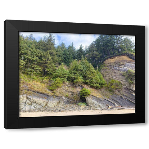 Eroded Coast V Black Modern Wood Framed Art Print by Grayscale