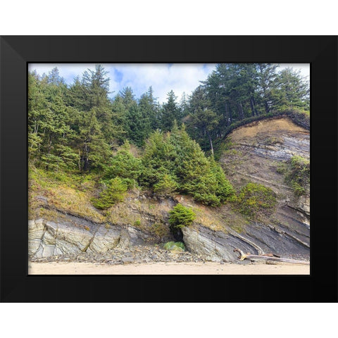 Eroded Coast V Black Modern Wood Framed Art Print by Grayscale
