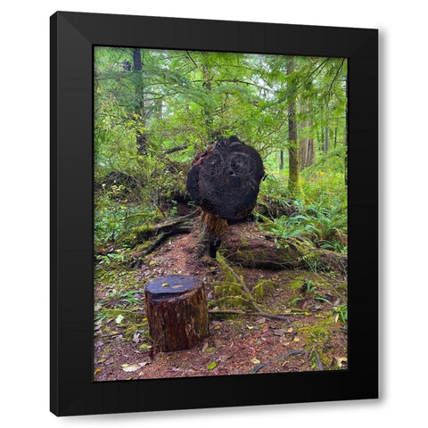 Forest Happy Face III Black Modern Wood Framed Art Print by Grayscale