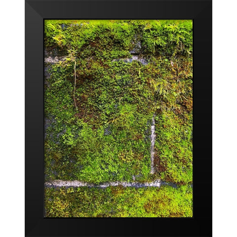 Stone Wall I Black Modern Wood Framed Art Print by Grayscale