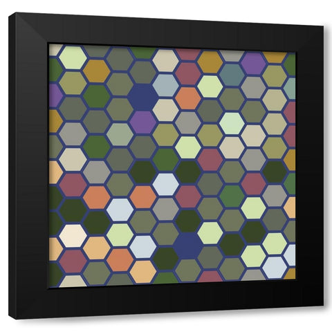 Small Hive XII Black Modern Wood Framed Art Print with Double Matting by Grayscale