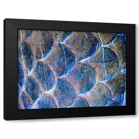 Wooden Scales II Black Modern Wood Framed Art Print with Double Matting by Grayscale