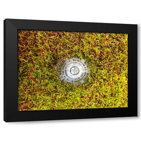 US Geodetic Survey Point I Black Modern Wood Framed Art Print with Double Matting by Grayscale
