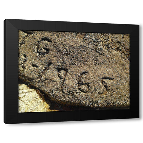 1965 Black Modern Wood Framed Art Print with Double Matting by Grayscale