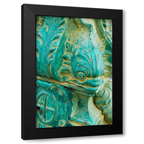 Fish Head I Black Modern Wood Framed Art Print with Double Matting by Grayscale