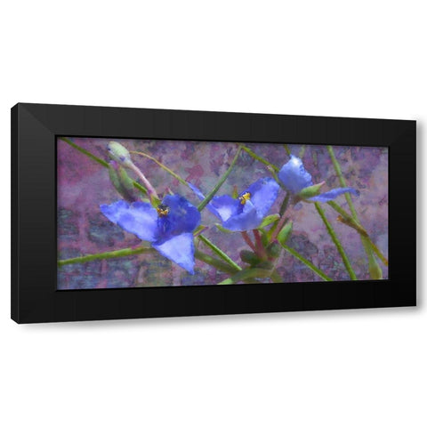 Tradescantia Black Modern Wood Framed Art Print by Popcorn