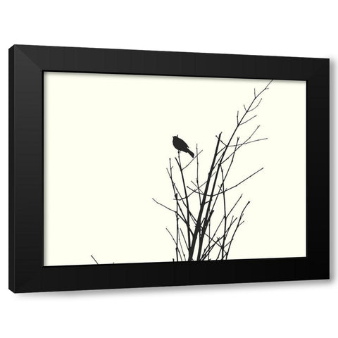 Bird Silhouette: BandW Black Modern Wood Framed Art Print by Popcorn