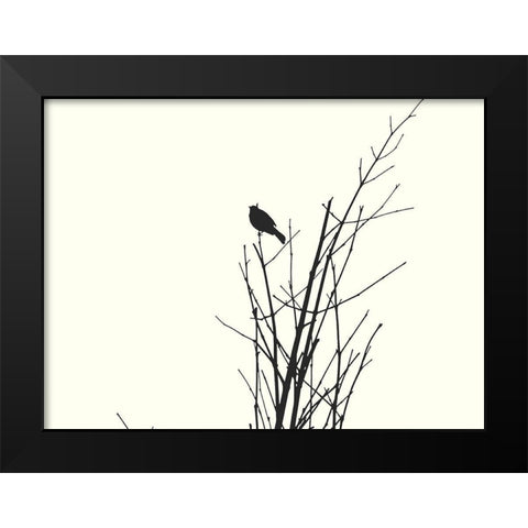 Bird Silhouette: BandW Black Modern Wood Framed Art Print by Popcorn