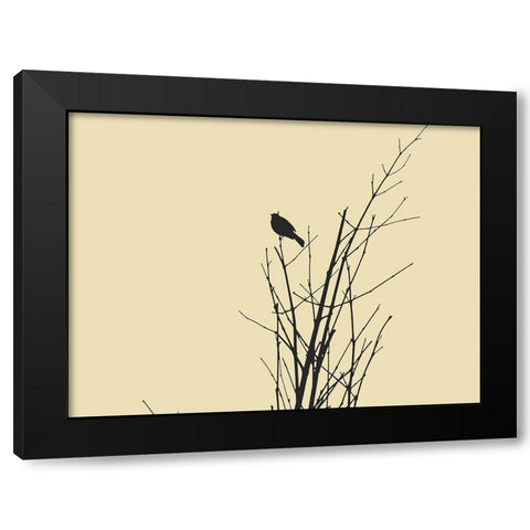 Bird Silhouette: Black/Ivory Black Modern Wood Framed Art Print with Double Matting by Popcorn